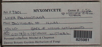 Image Associated With the Occurence